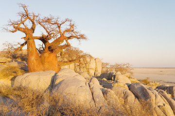 卡薩內機場三字代碼(BBK)_Kasane空運機場,博茨瓦納機場