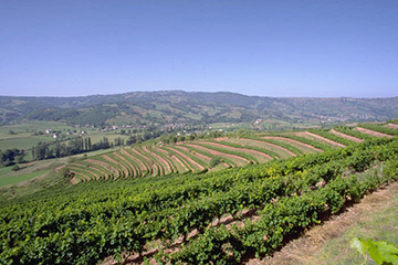 瓦利斯島機場三字代碼(WLS)_Wallis Island空運機場,瓦利斯和富圖納群島機場