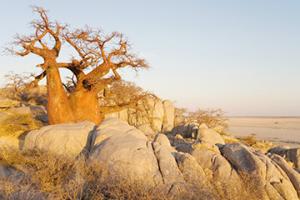 卡薩內機場三字代碼(BBK)_Kasane空運機場,博茨瓦納機場