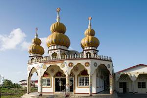 托特內斯機場三字代碼(TOT)_Totness空運機場,蘇里南機場