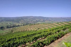 瓦利斯島機場三字代碼(WLS)_Wallis Island空運機場,瓦利斯和富圖納群島機場