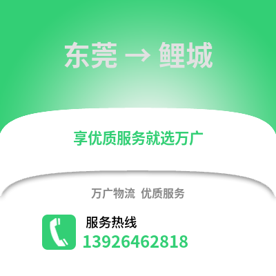 東莞到鯉城物流專線_東莞到鯉城貨運(yùn)專線公司