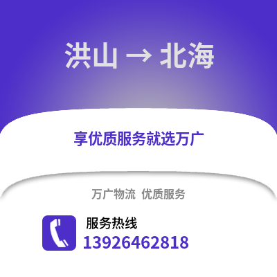 武漢洪山到北海物流專線_武漢洪山到北海貨運(yùn)專線公司