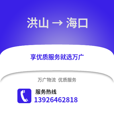 武漢洪山到海口物流專線_武漢洪山到海口貨運(yùn)專線公司