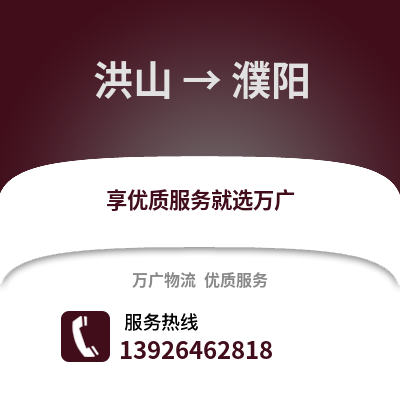 武漢洪山到濮陽(yáng)物流專線_武漢洪山到濮陽(yáng)貨運(yùn)專線公司
