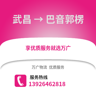 武漢武昌到巴音郭楞物流專線_武漢武昌到巴音郭楞貨運專線公司