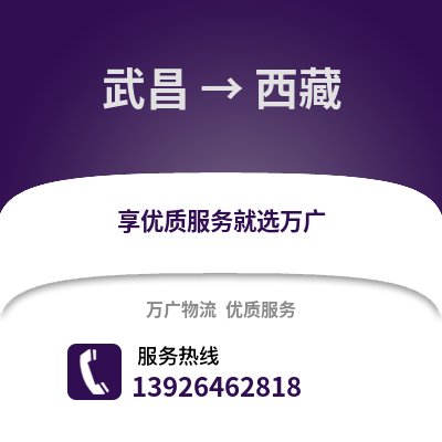 武漢武昌到西藏物流專線_武漢武昌到西藏貨運專線公司
